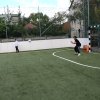 Családi nap